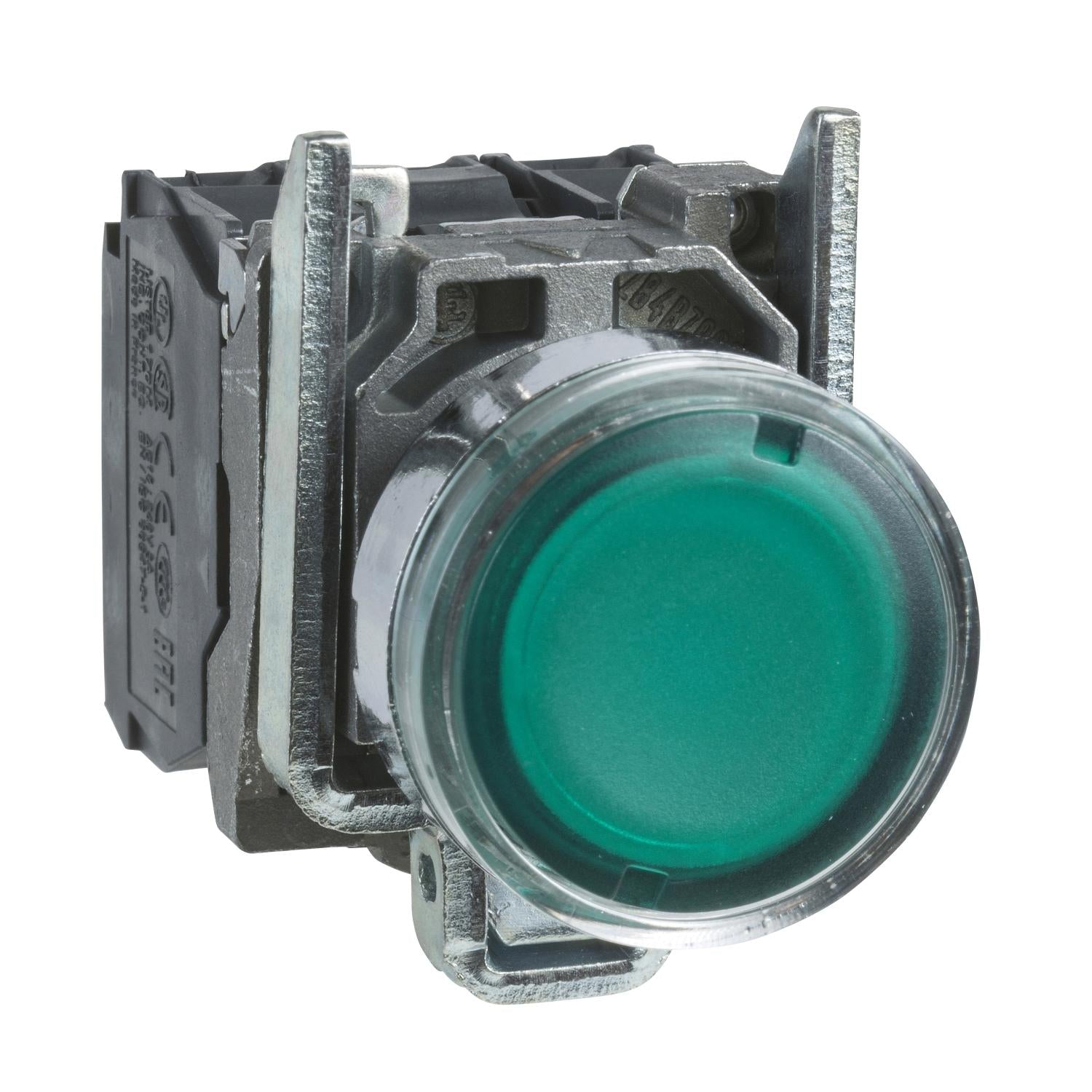 XB4BW3365-Pulsador-iluminado-XB4,-22mm-metálico,-verde,-al-ras,-retorno-por-resorte,-<=-250-V,-1-NO-+-1-NC